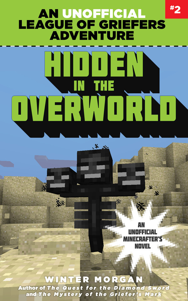Hidden In The Overworld Morgan Winter