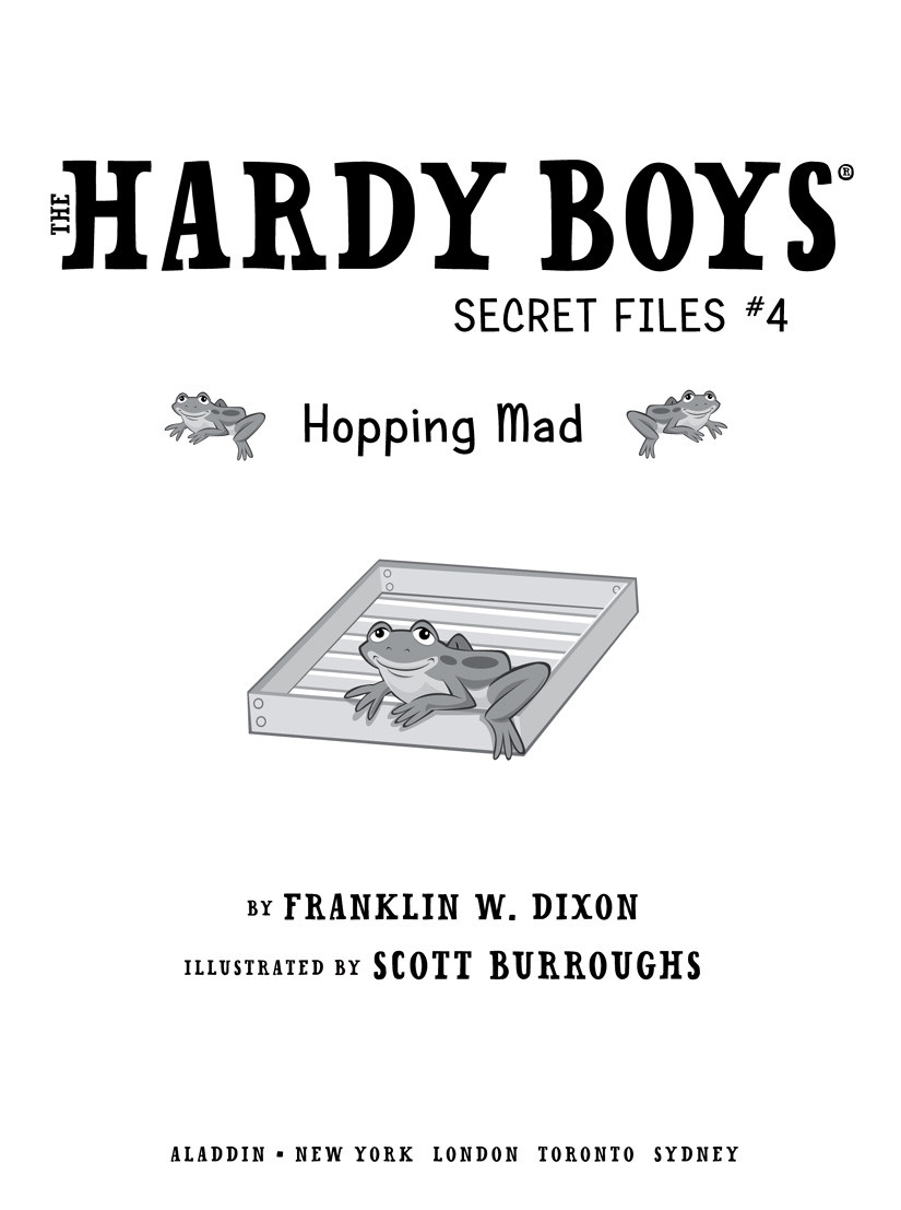 Hardy Boys Secret Files 04 Hopping Mad Dixon Franklin W
