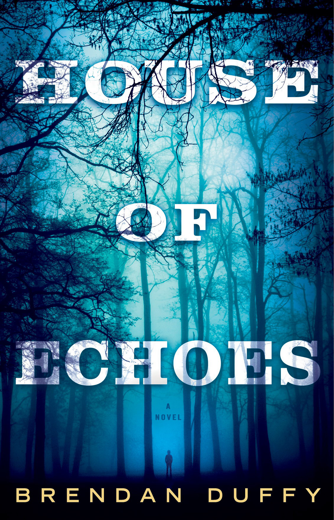 House Of Echoes Brendan Duffy