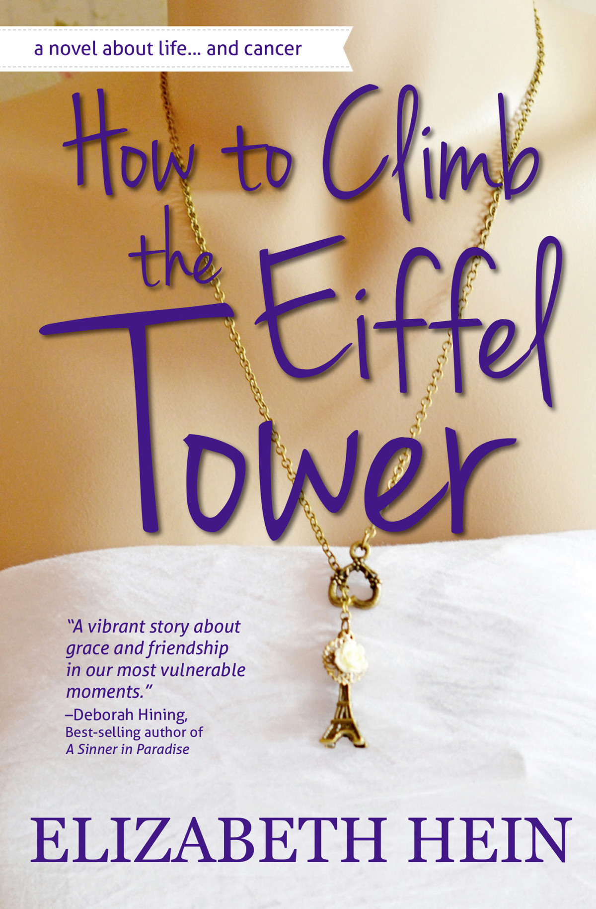 How To Climb The Eiffel Tower Hein Elizabeth