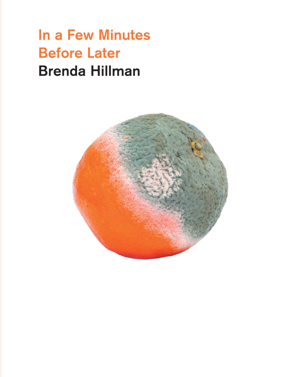 In A Few Minutes Before Later Wesleyan Poetry Series Brenda Hillman