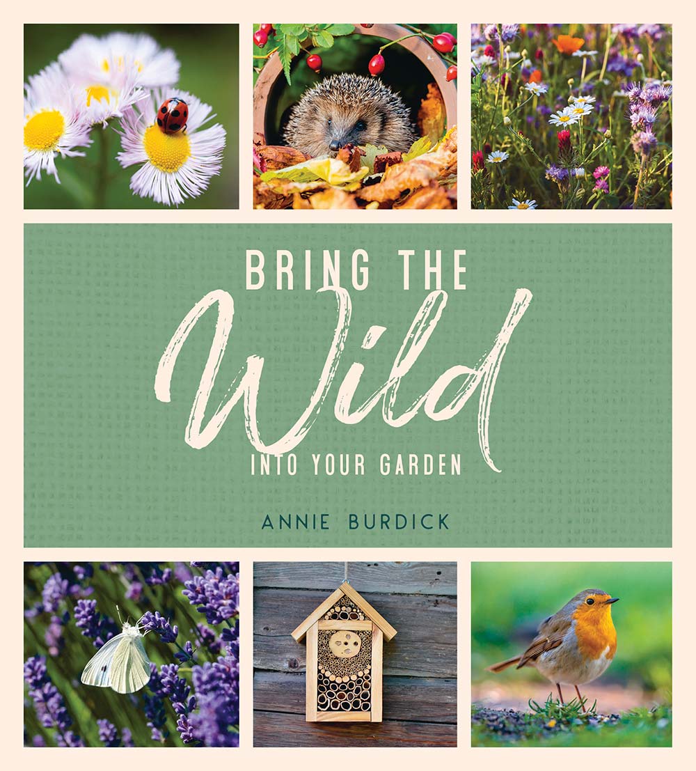 Bring The Wild Into Your Garden Annie Burdick