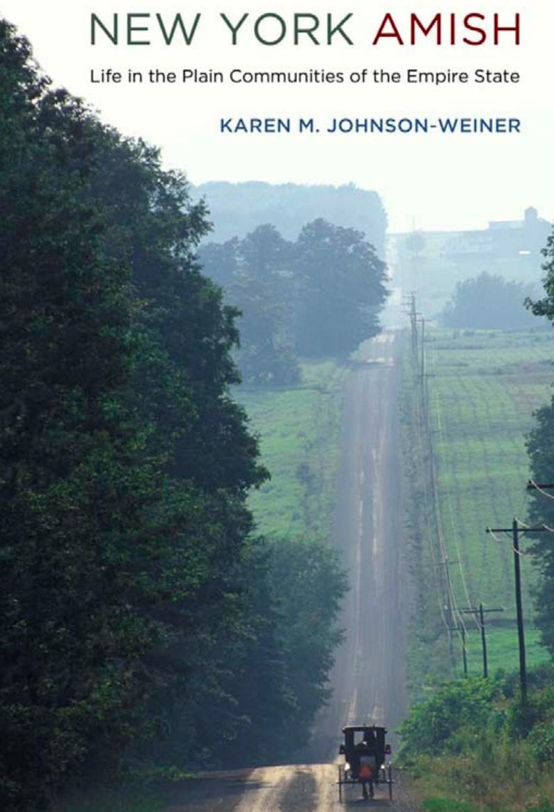 New York Amish Life In The Plain Communities Of The Empire State Karen M Johnsonweiner