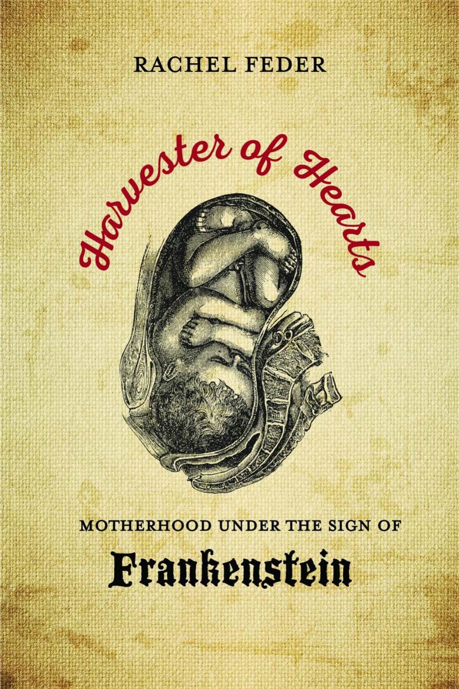 Harvester Of Hearts Motherhood Under The Sign Of Frankenstein Rachel Feder