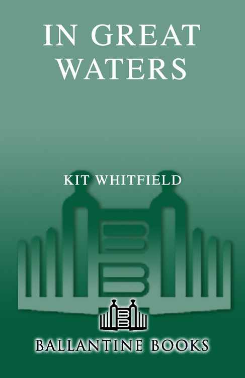 In Great Waters Whitfield Kit
