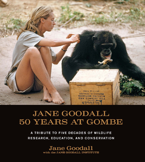 Jane Goodall 50 Years At Gombe Goodall Jane