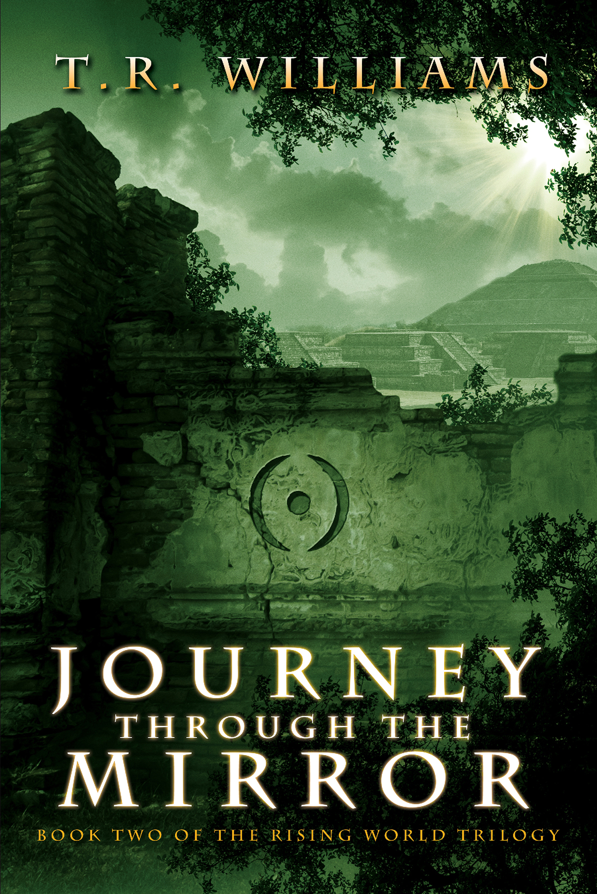 Journey Through The Mirrors Williams T R