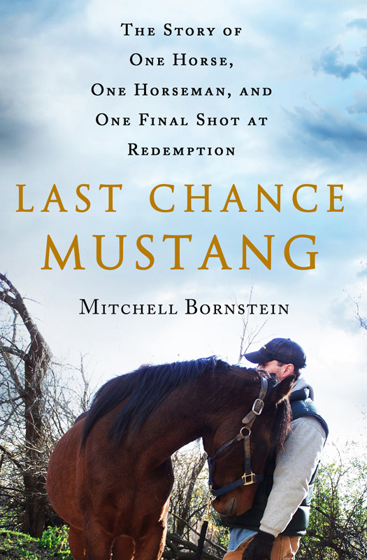 Last Chance Mustang The Story Of One Horse One Horseman And One Final Shot At Redemption Bornstein Mitchell