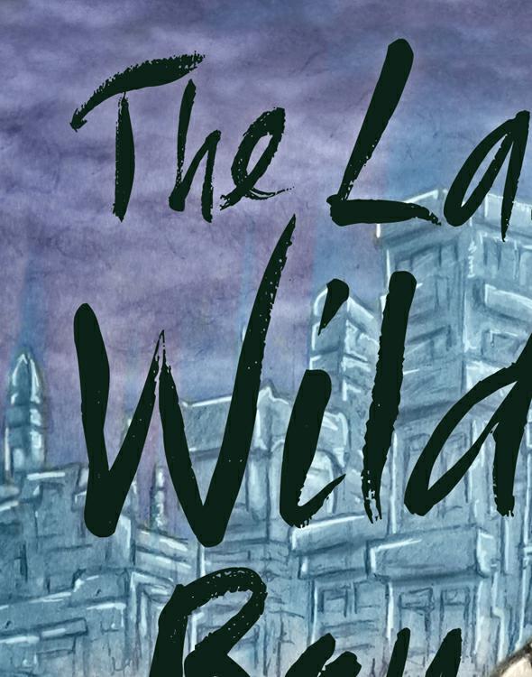 Last Wild Boy Macdonald Hugh