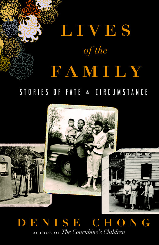 Lives Of The Family Stories Of Fate And Circumstance Chong Denise