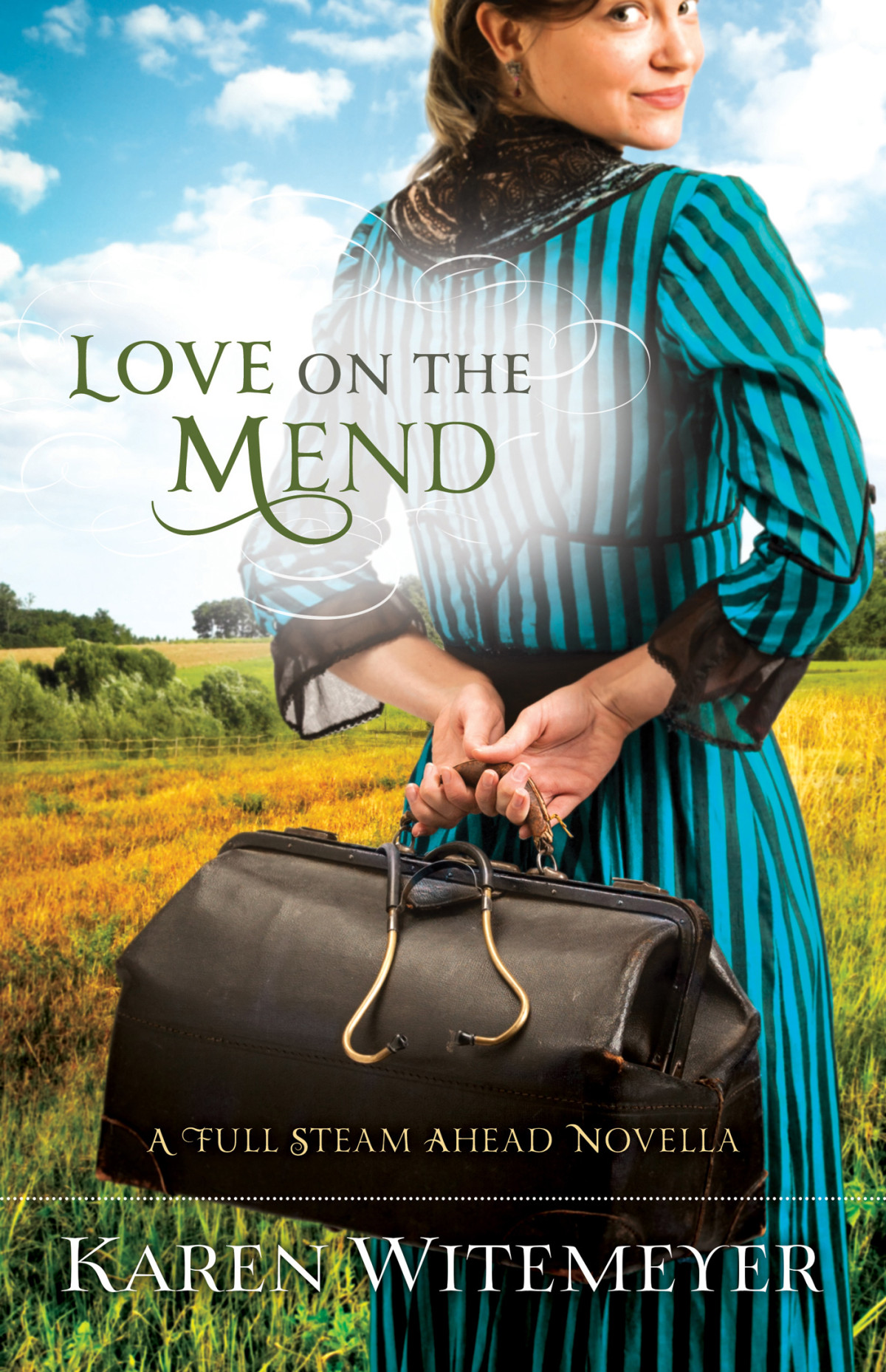 Love On The Mend Witemeyer Karen