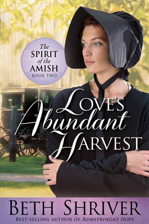 Loves Abundant Harvest Shriver Beth