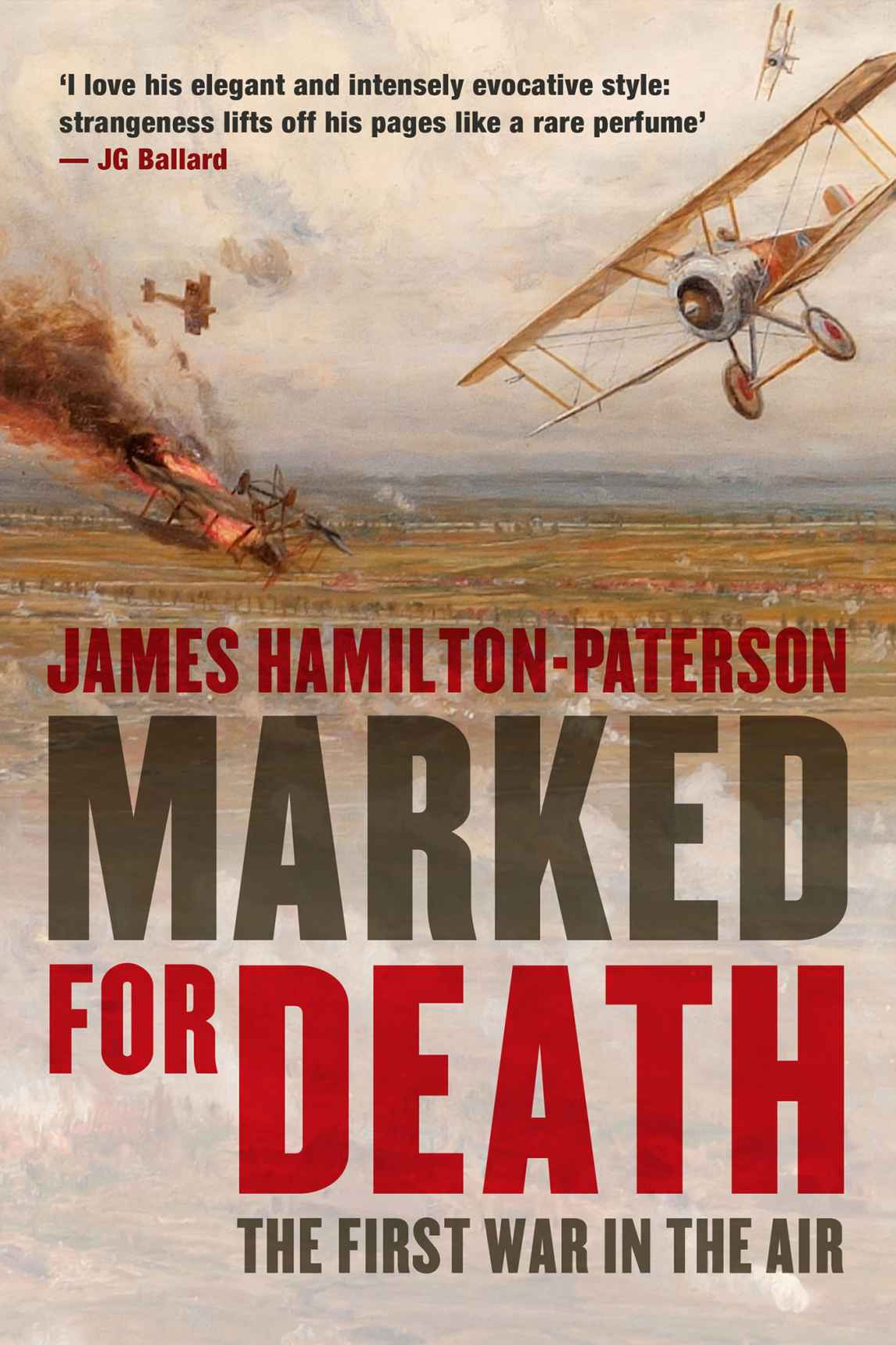 Marked For Death The First War In The Air Hamiltonpaterson