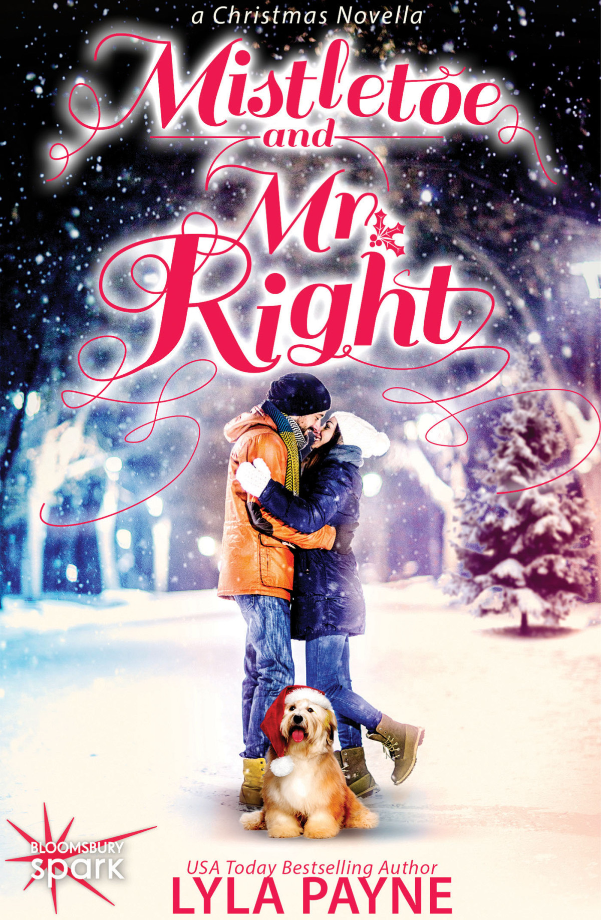 Mistletoe And Mr Right Payne Lyla