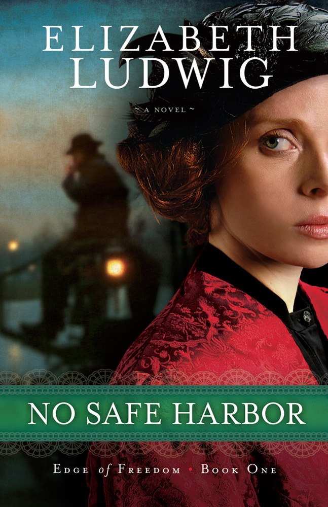 No Safe Harbor Ludwig Elizabeth