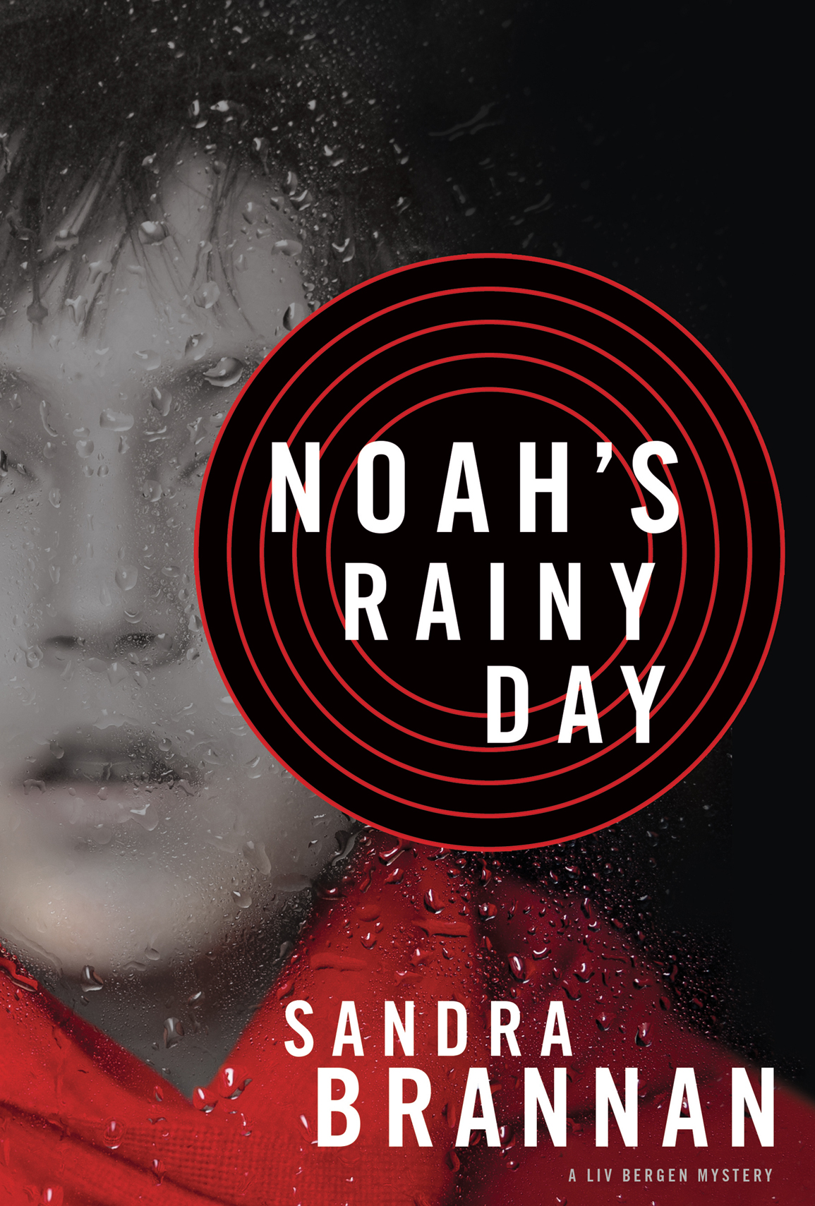 Noahs Rainy Day Brannan Sandra