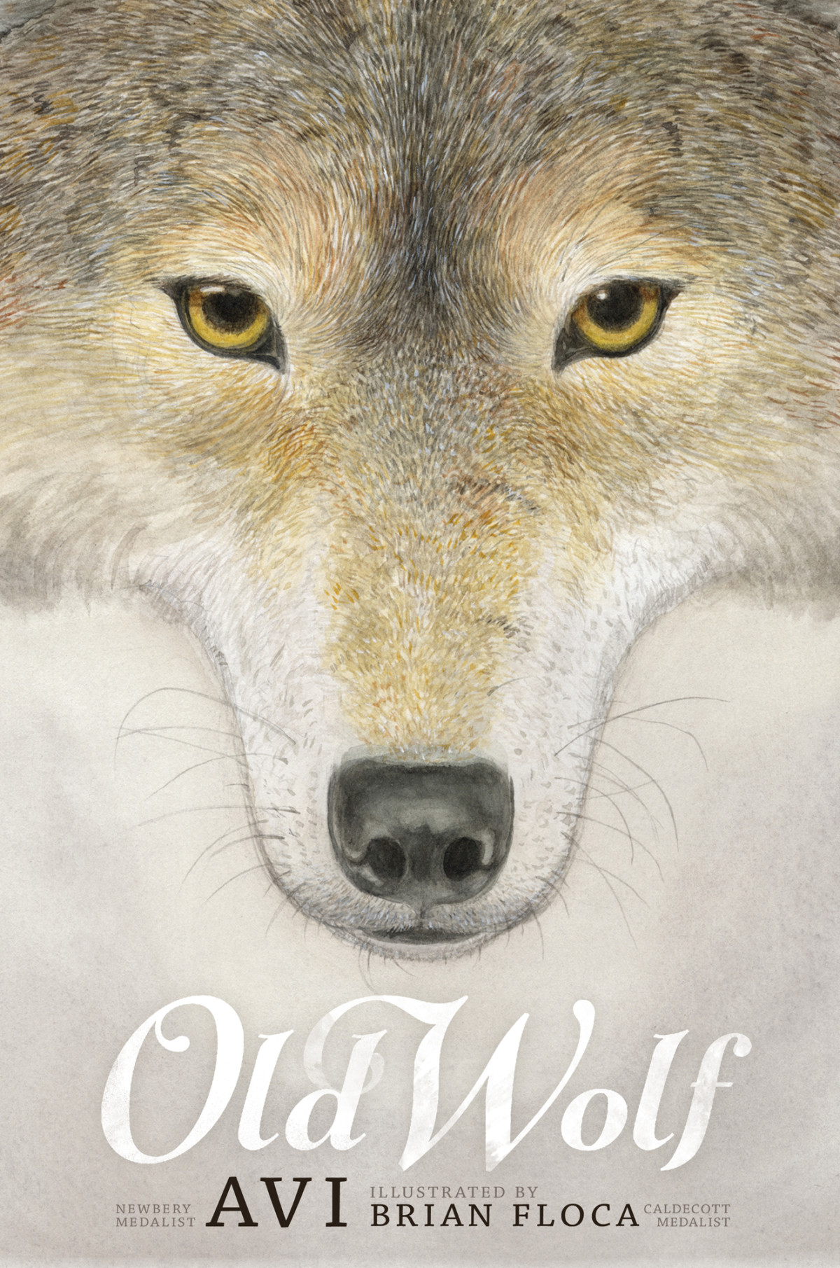 Old Wolf Avi