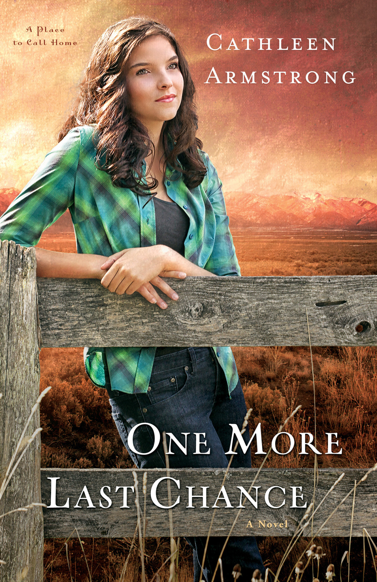 One More Last Chance Armstrong Cathleen