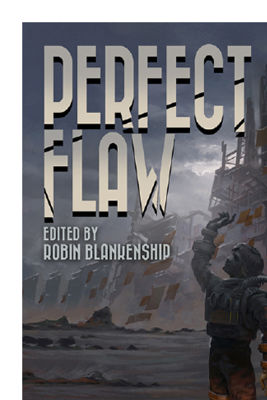 Perfect Flaw Blankenship Robin Editor