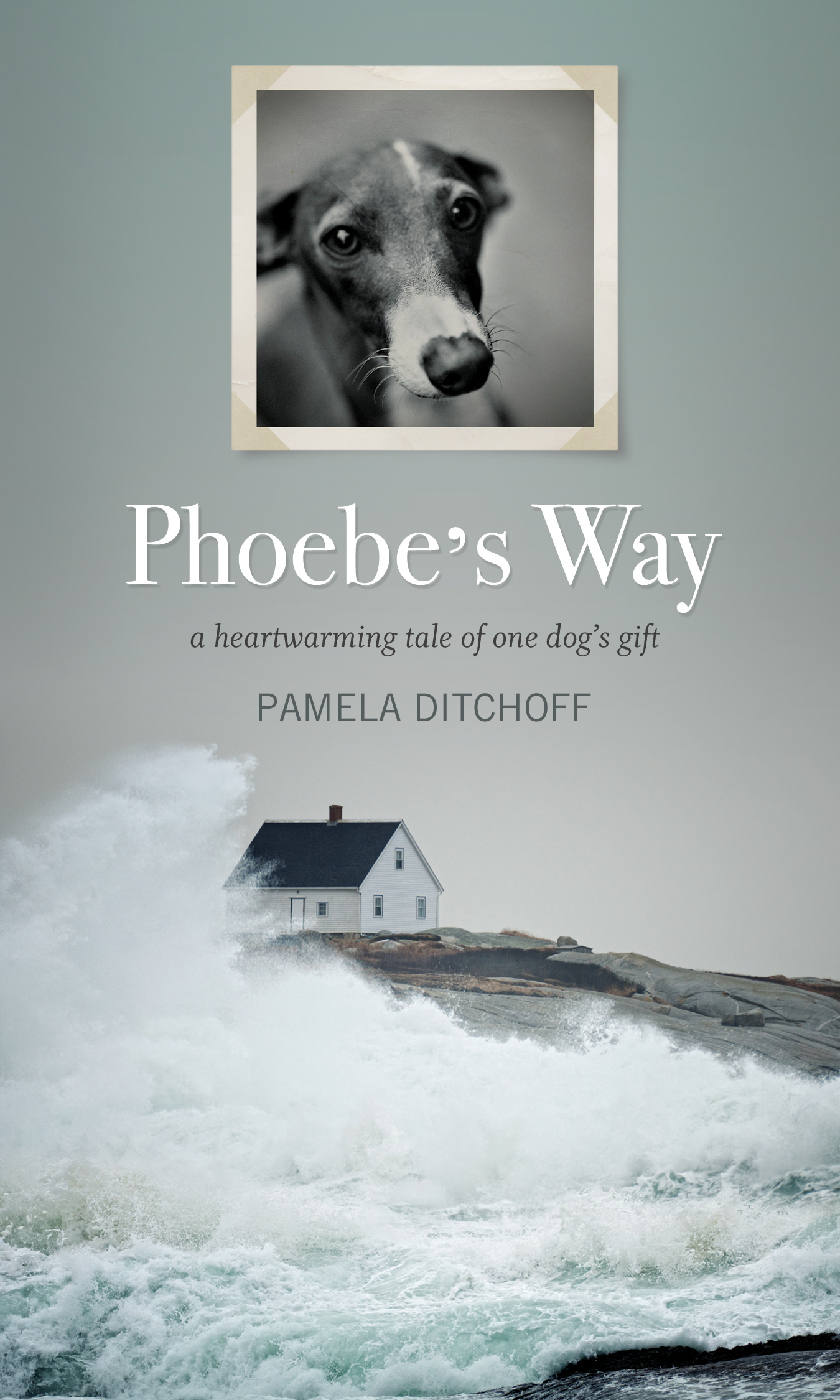 Phoebes Way Ditchoff Pamela