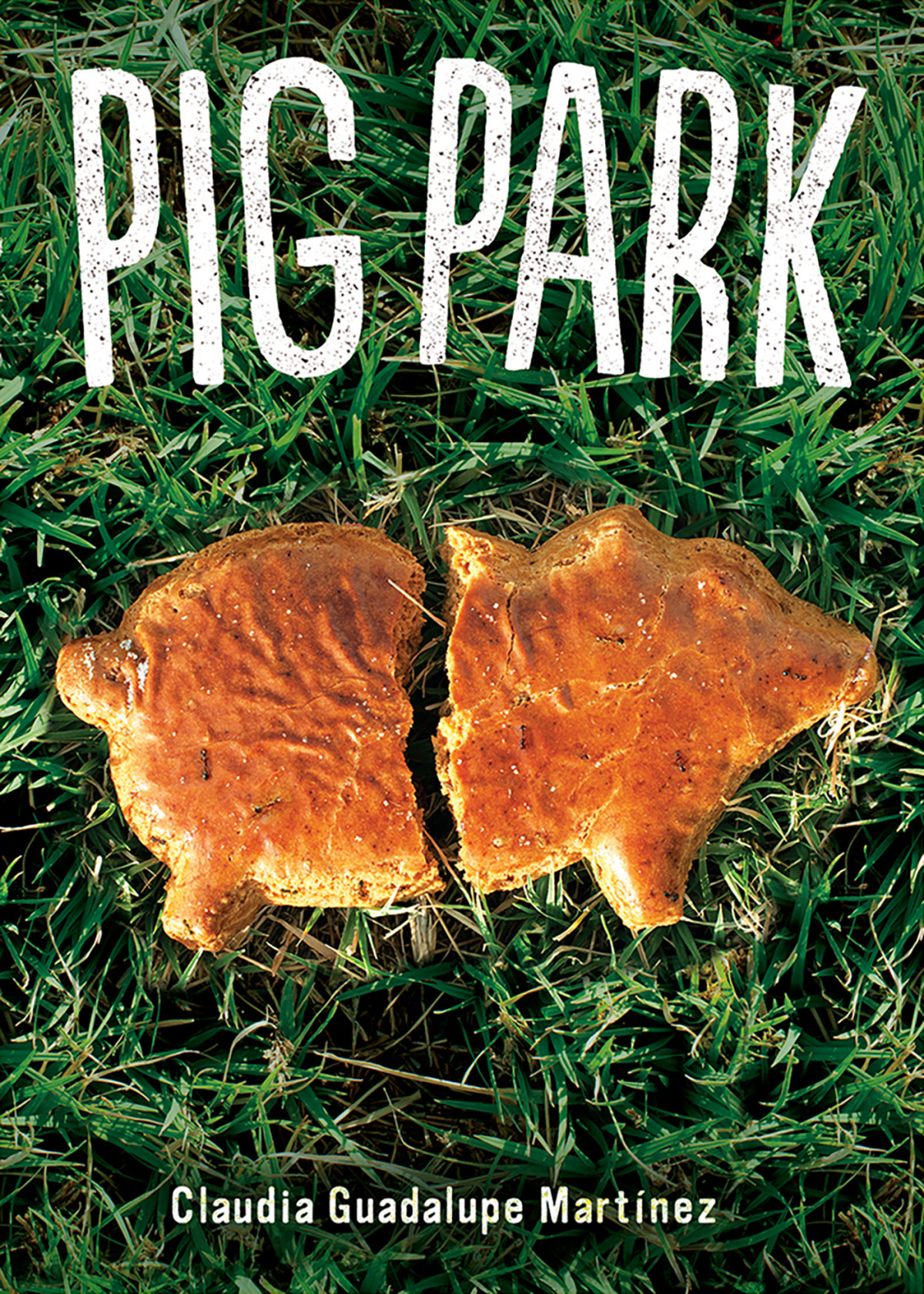 Pig Park Martinez Claudia Guadalupe