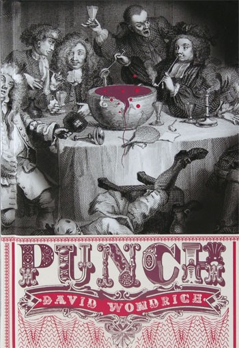 Punch The Delights And Dangers Of The Flowing Bowl Wondrich David