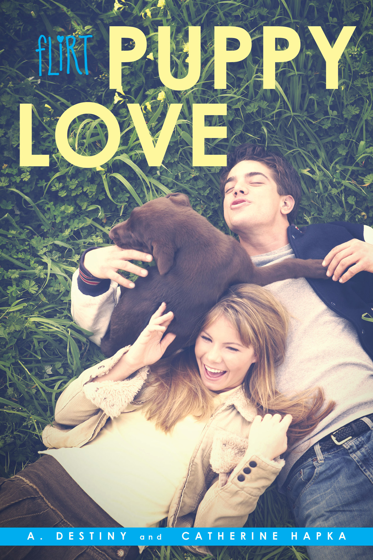 Puppy Love Destiny A Hapka Catherine