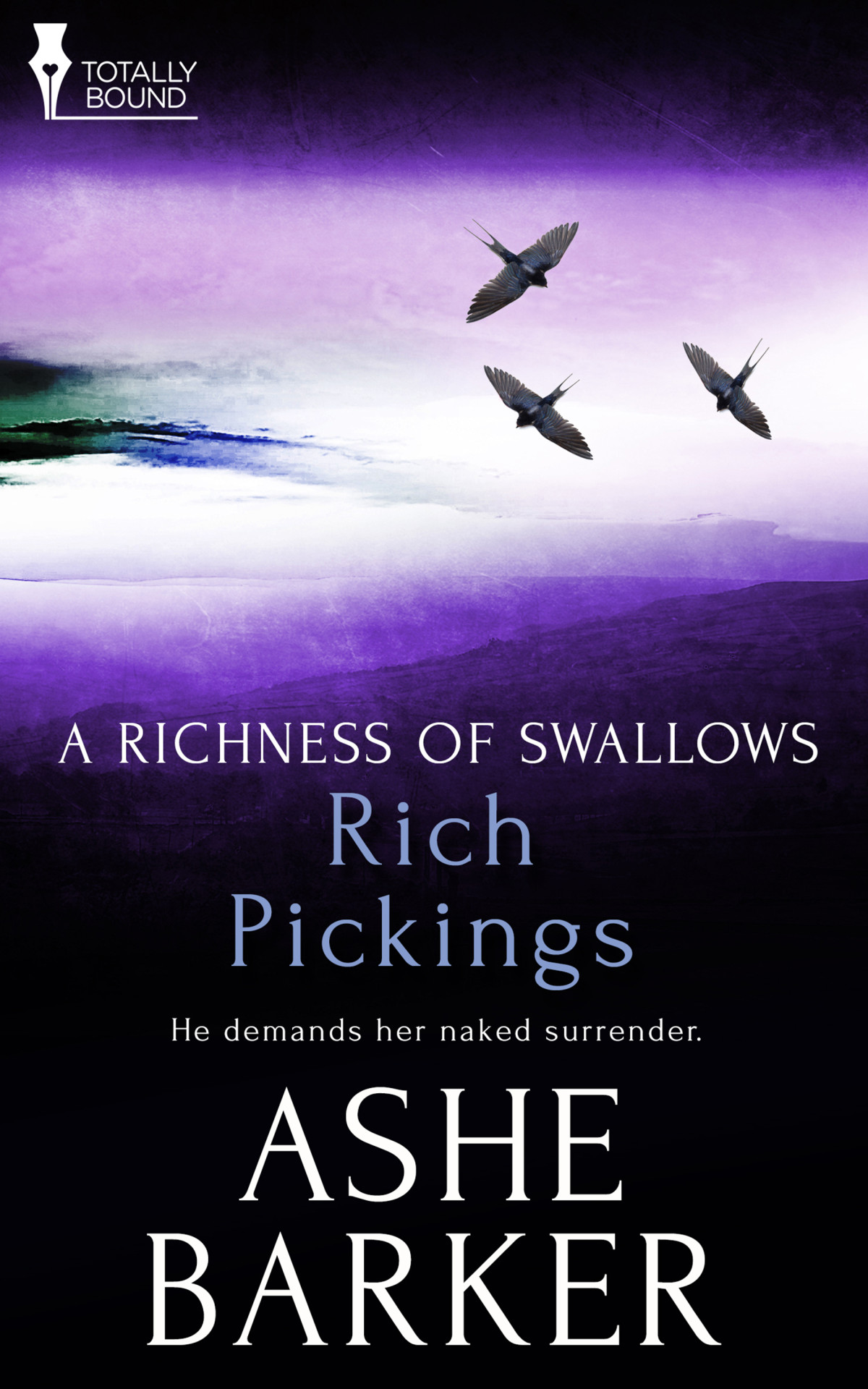 Rich Pickings Barker Ashe