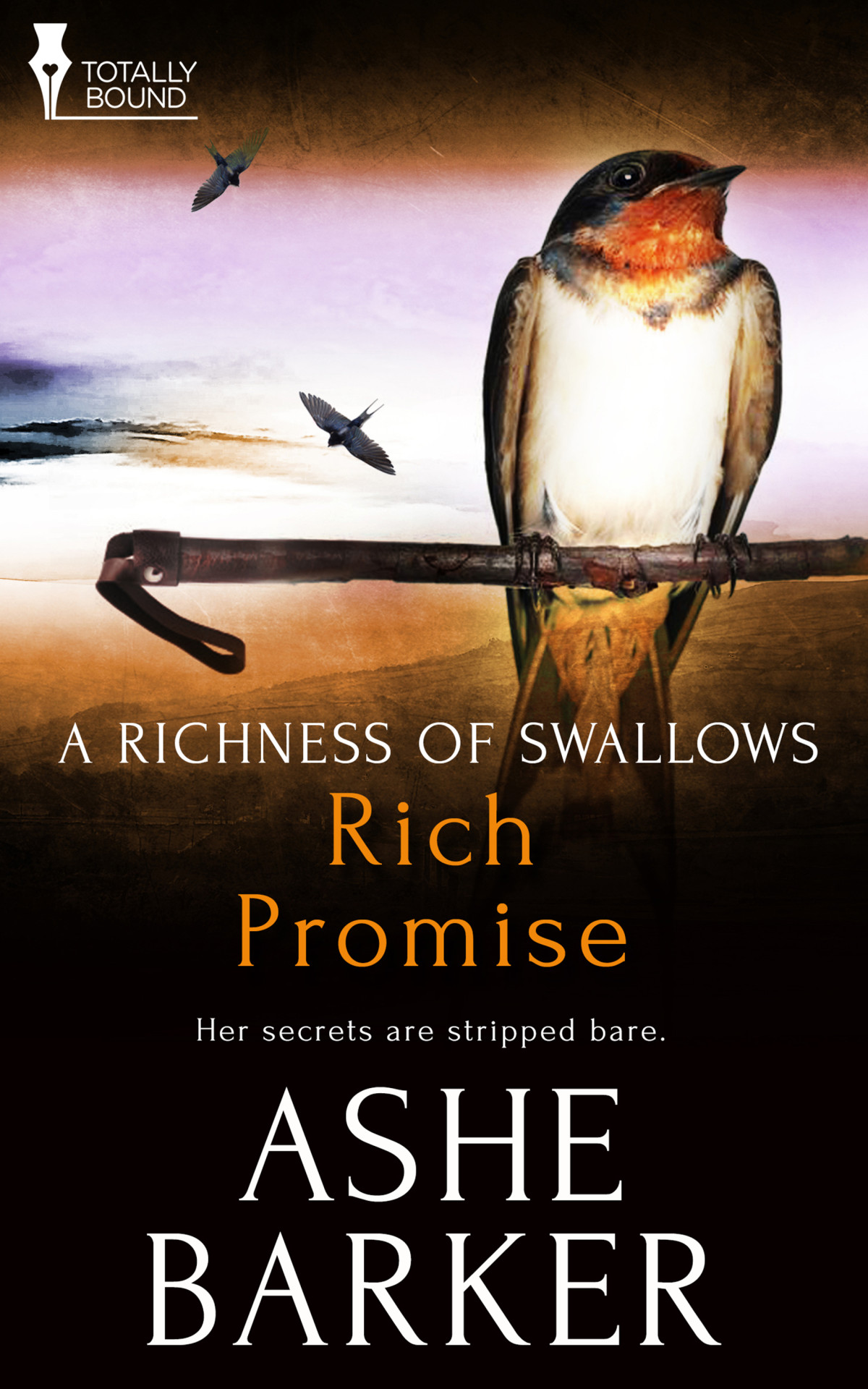Rich Promise Barker Ashe