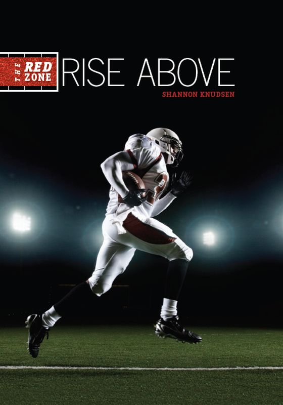 Rise Above Knudsen Shannon