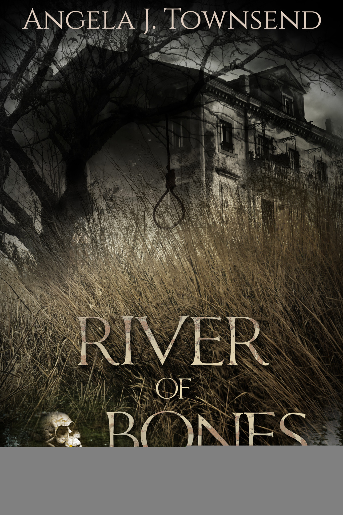 River Of Bones Townsend Angela J