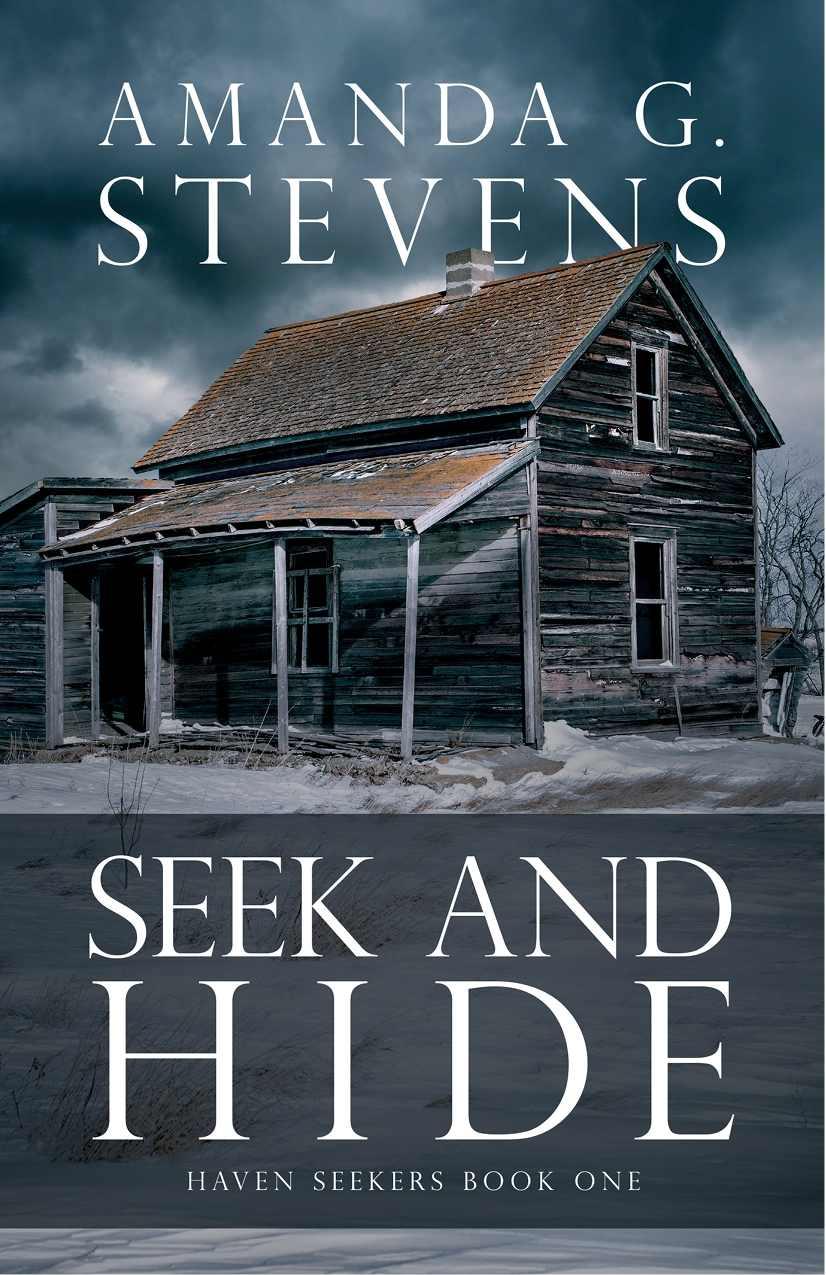 Seek And Hide A Novel Stevens Amanda G