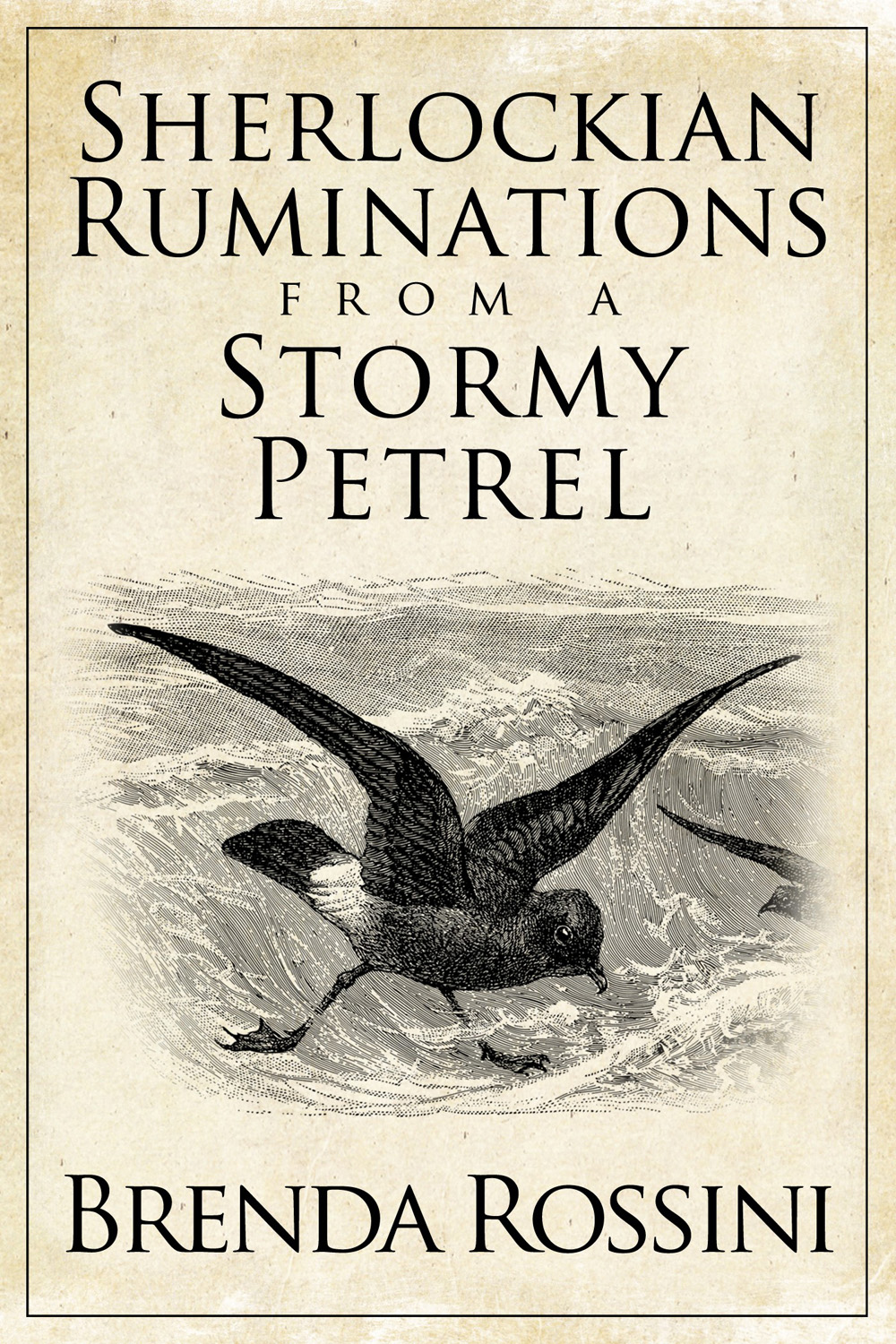Sherlockian Ruminations From A Stormy Petrel Rossini Brenda