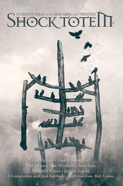 Shock Totem 5 Wood K Allen Editor