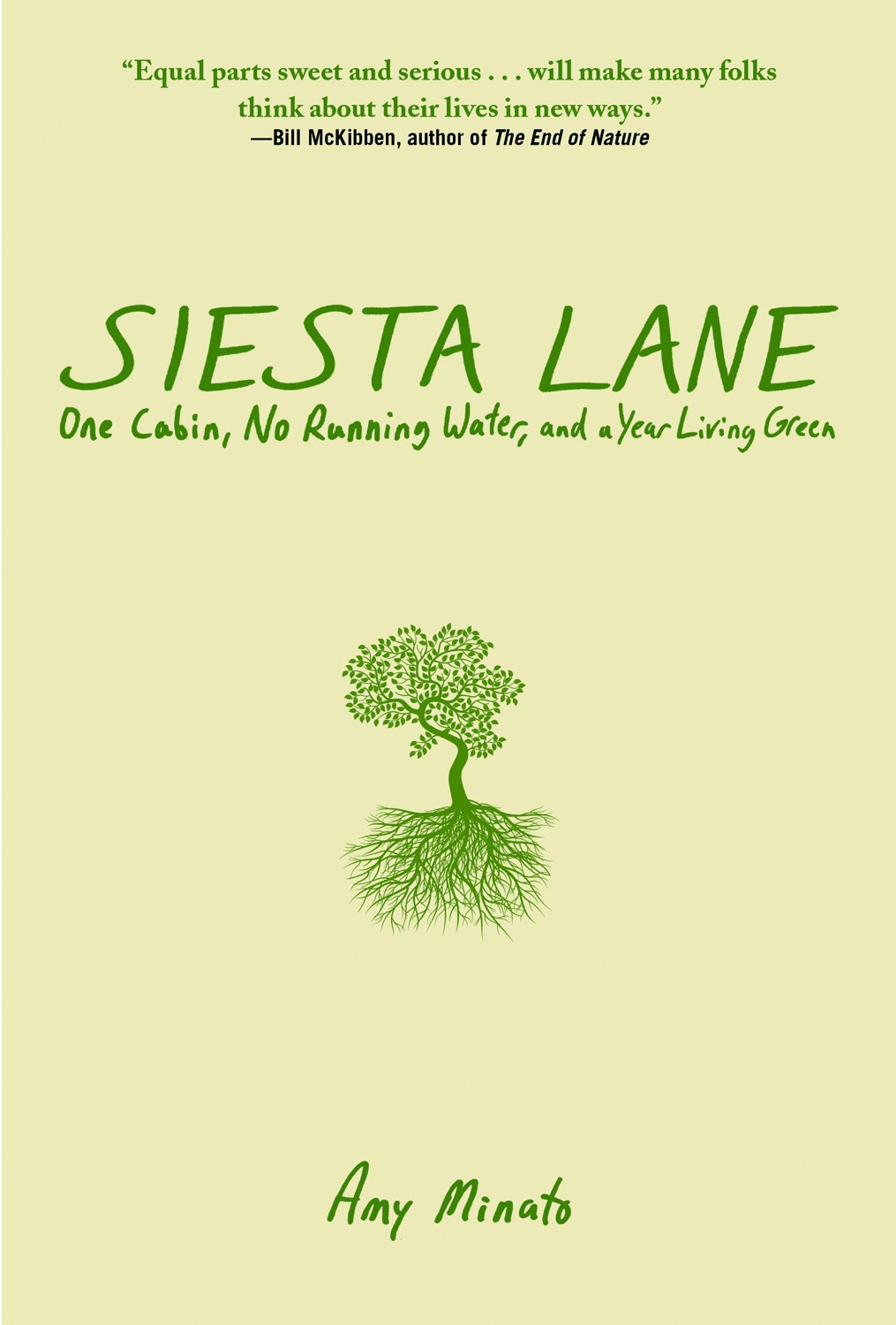 Siesta Lane A Cabin No Running Water And A Year Living Green Minato Amy