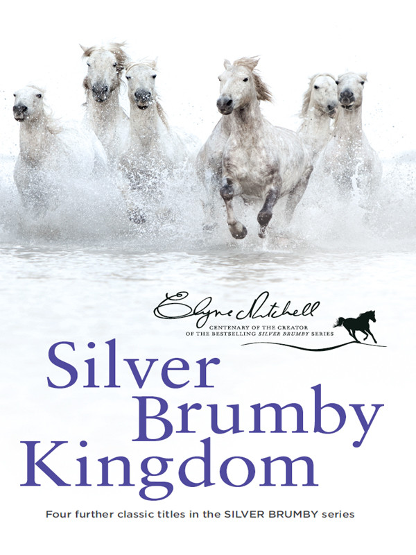 Silver Brumby Kingdom Moon Filly Silver Brumby Whirlwind Son Of The Whirlwind Silver Brumby Silver Dingo Elyne Mitchell