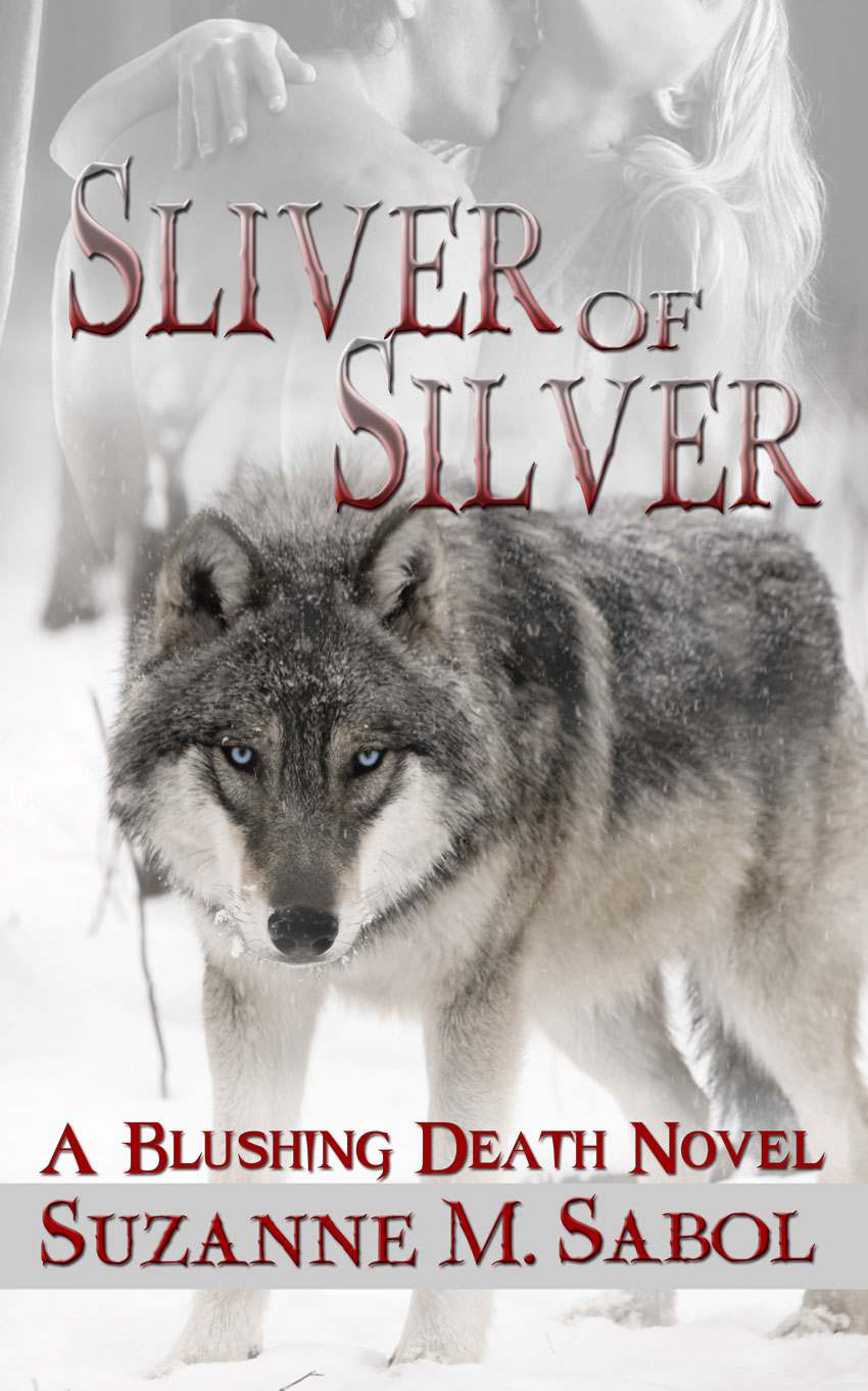 Sliver Of Silver Sabol Suzanne M