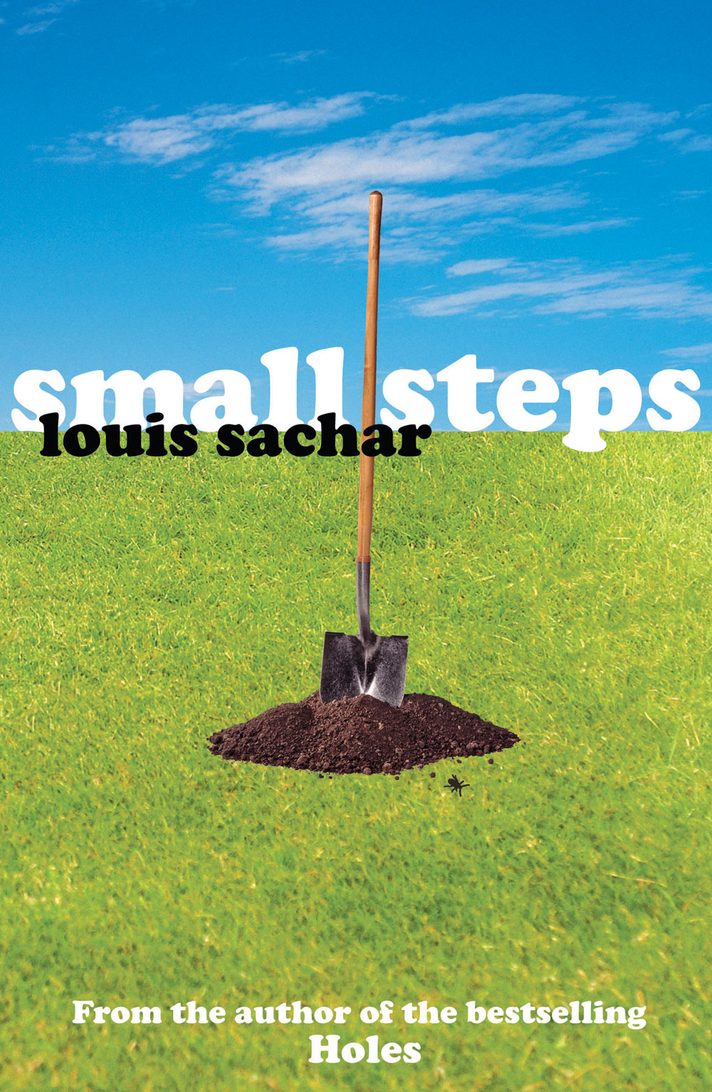 Small Steps Sachar Louis