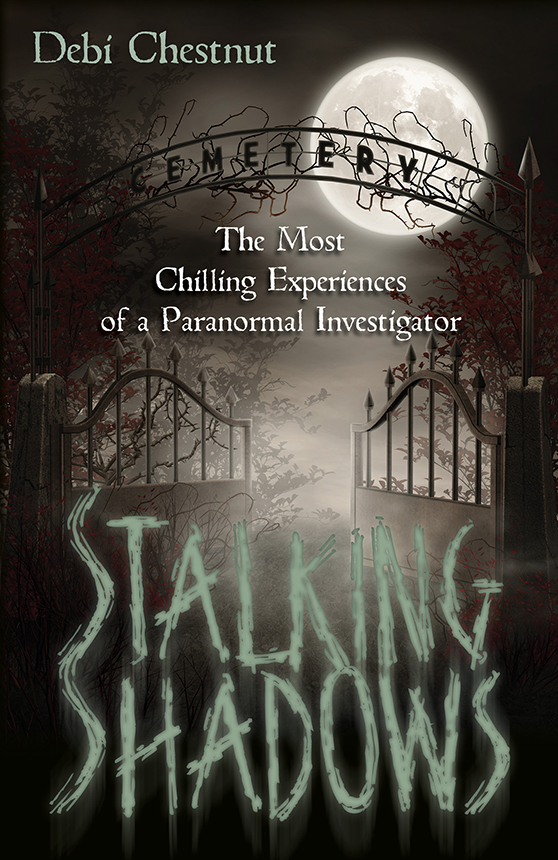 Stalking Shadows Debi Chestnut