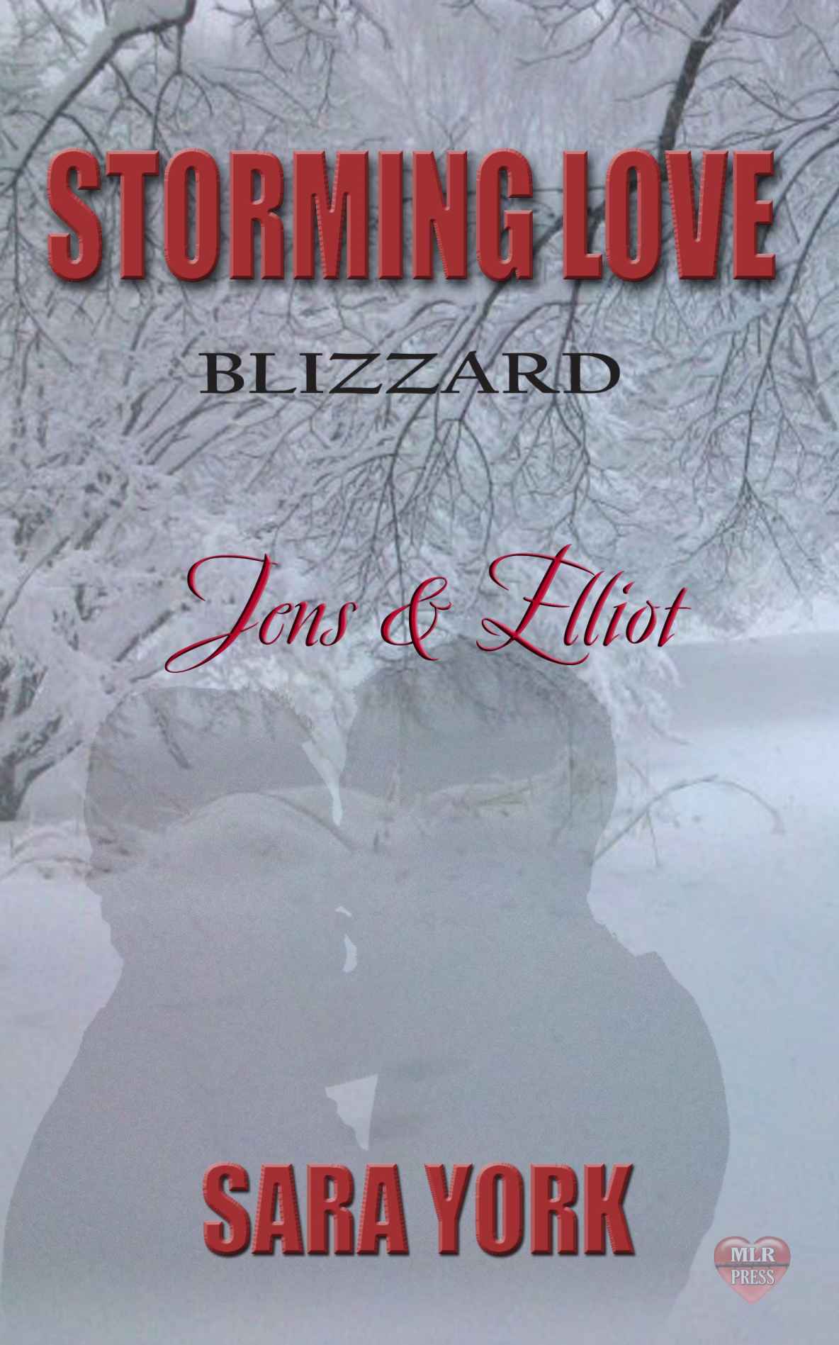 Storminglove Blizzard Jenselliot York Sara