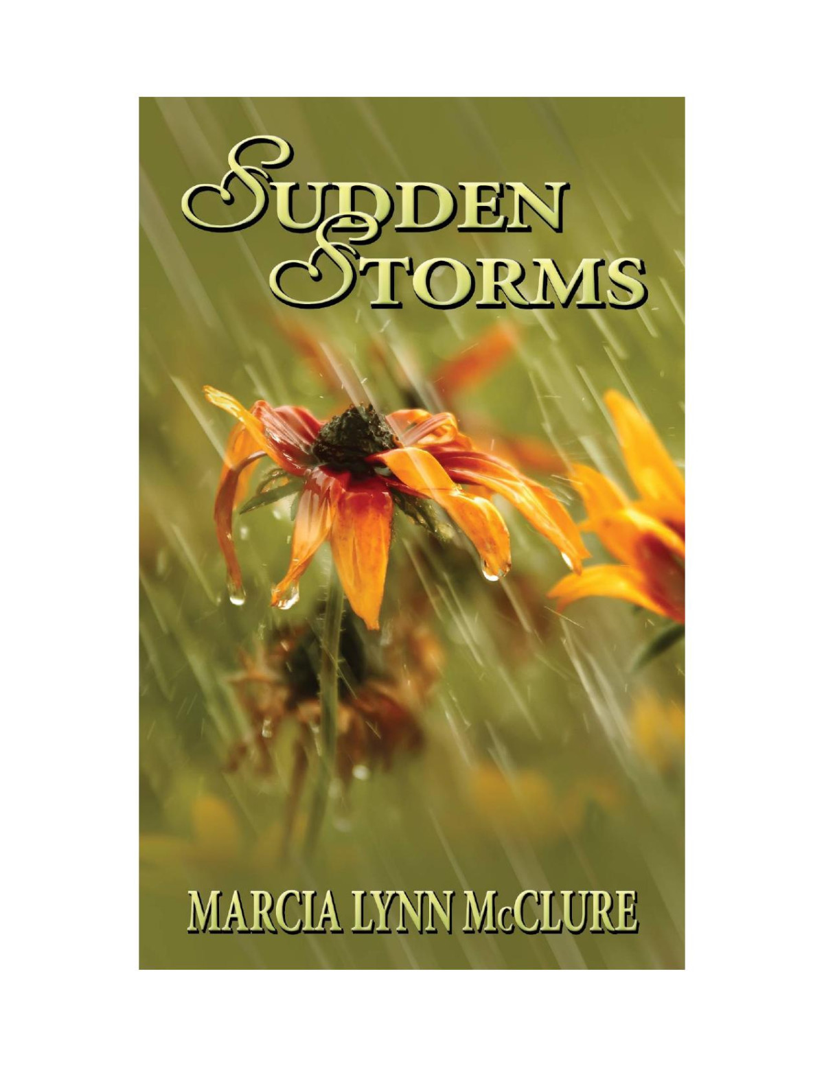 Sudden Storms Mcclure Marcia Lynn