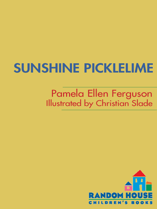 Sunshine Picklelime Ferguson Pamela