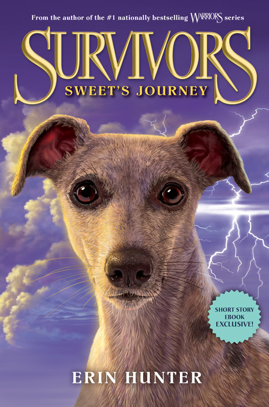 Sweets Journey Hunter Erin