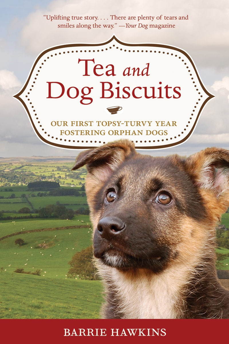 Tea And Dog Biscuits Hawkins Barrie
