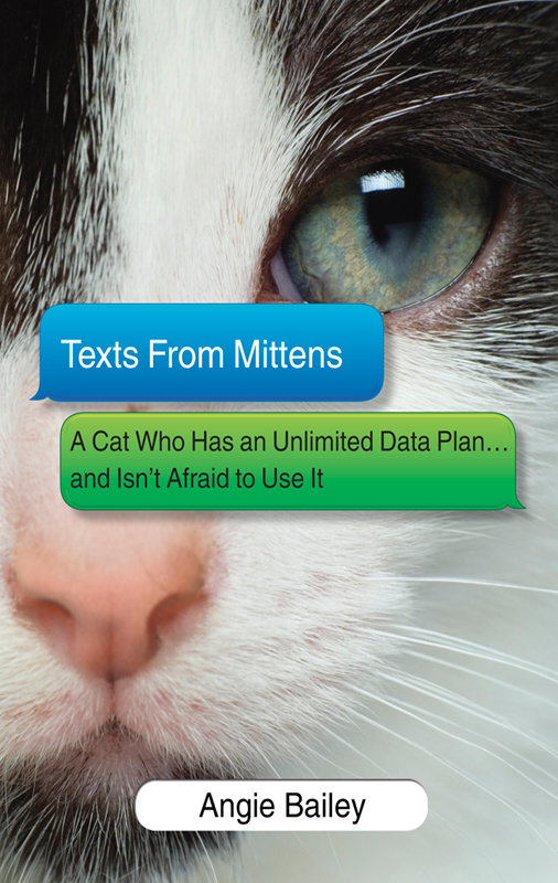 Texts From Mittens Angie Bailey