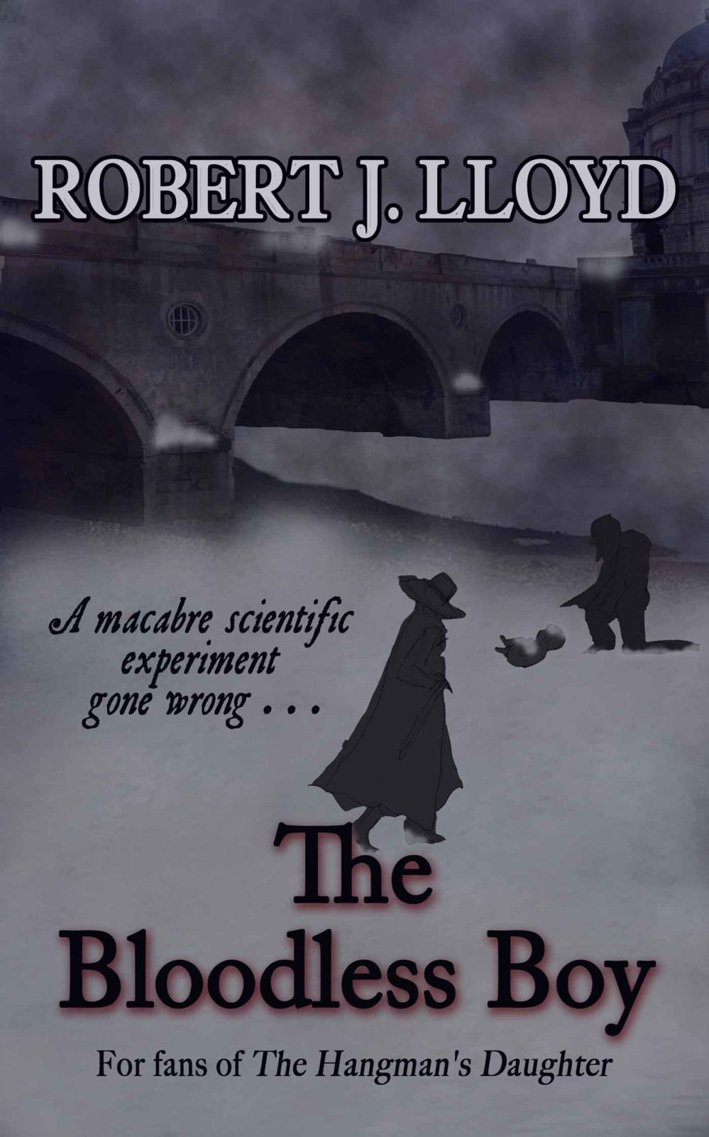 The Bloodless Boy Lloyd Robert J