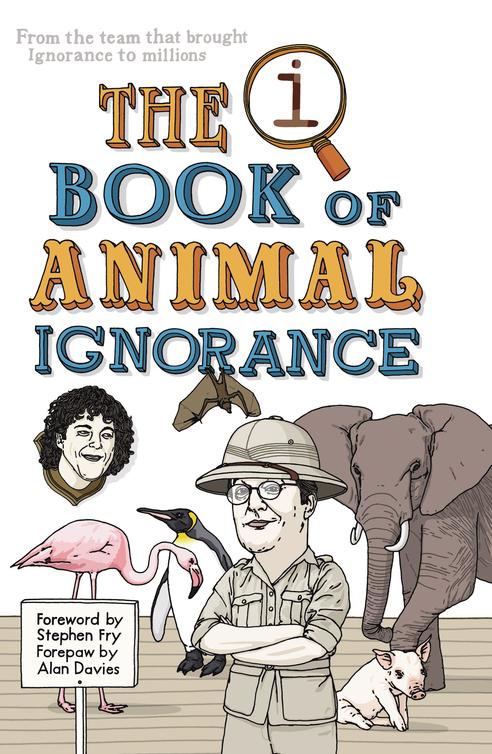 The Book Of Animal Ignorance Everything You Think You Know Is Wrong Mitchinson John Lloyd John