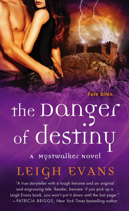 The Danger Of Destiny Evans Leigh