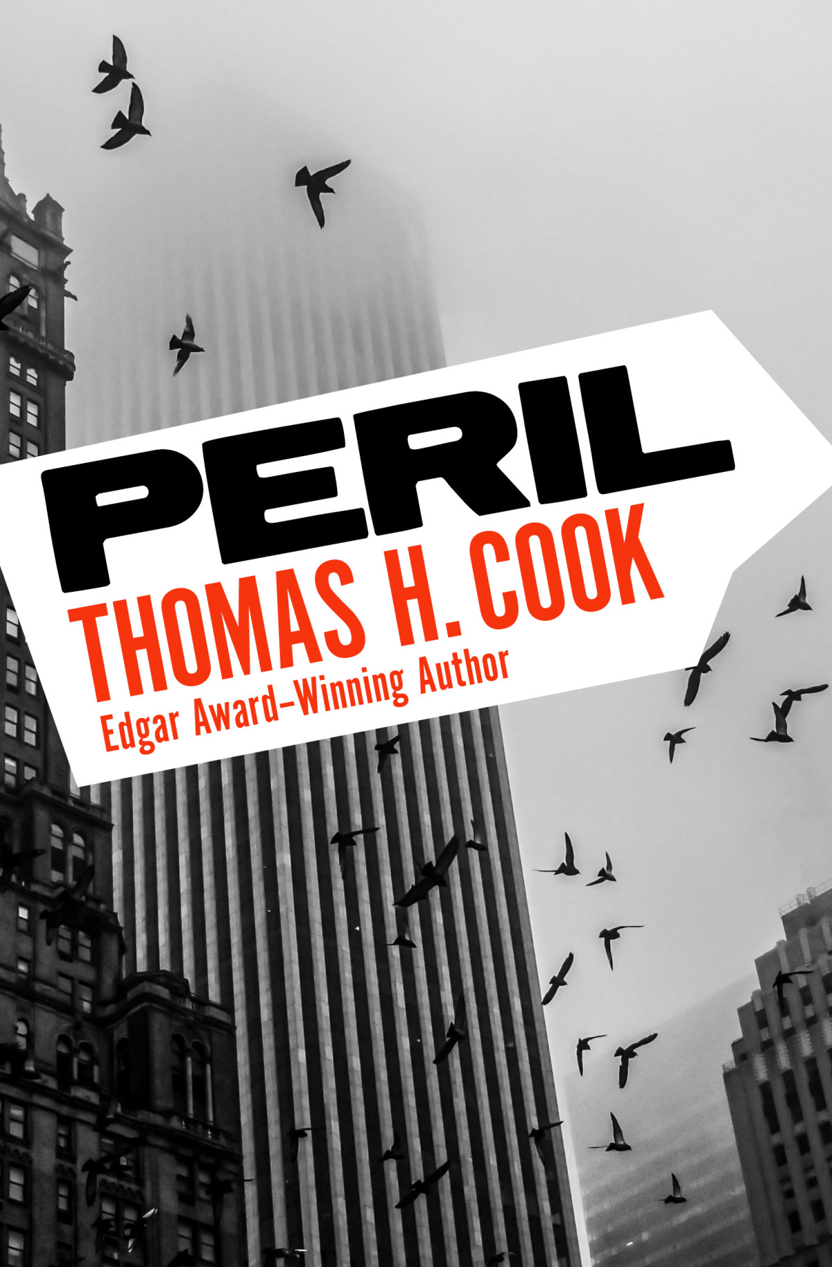 Peril Thomas H Cook