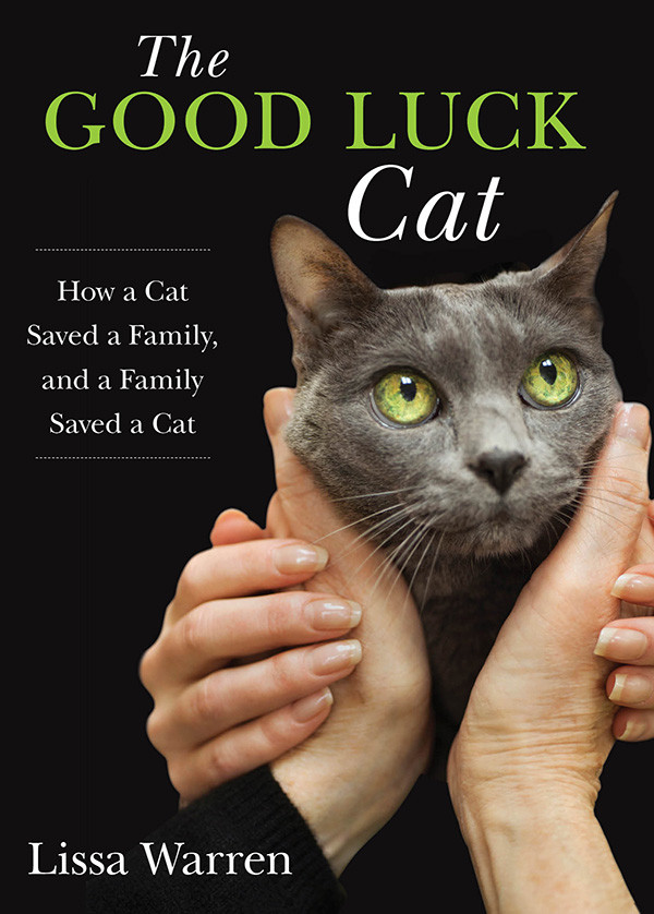 The Good Luck Cat How A Cat Saved A Family And A Family Saved A Cat Warren Lissa